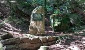 Tour Wandern Vexaincourt - Vexaincourt - lac et chapelle de la Maix - Photo 13