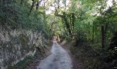Trail Walking Carpentras - carpentras la legue - Photo 5