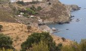 Tocht Stappen Port-Vendres - port vendre, polilles - Photo 1