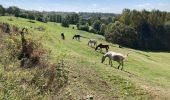 Trail Walking Lostanges - Lostanges  - Photo 4