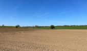 Excursión Senderismo Chaumont-Gistoux - BE-Chaumont-Gistoux - Le Bercuit par Dion-le-Val - blog le bruant wallon - Photo 6