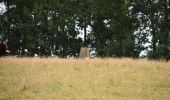 Tocht Te voet Tandridge - Corner of Four Counties walk (SCC) - Photo 3