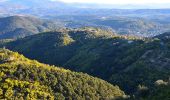 Excursión Senderismo Tanneron - Tanneron par Les Farinas - Photo 2