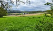 Tour Wandern Andenne - Maizeret 120424  - Photo 9