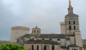 Tour Wandern Avignon - baguenaudage en Avignon - Photo 14
