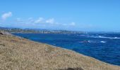 Tocht Stappen Le Vauclin - 2eme parcours de la pointe du vauclin et trou cochon  - Photo 10