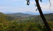 Randonnée Marche Fréjus - PK Malpasset - Vallon de Jasnin - Photo 5