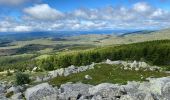 Tour Wandern Vialas - Mas de la barque source du Tarn - Photo 6