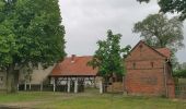 Percorso A piedi Märkische Heide - Wanderweg Alt Schadow-Pretschen - Photo 2