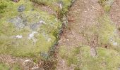 Tour Wandern Ottrott - St Odile Brigitte - Photo 10