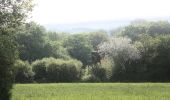 Trail On foot Riegelsberg - Frohn-Wald-Weg - Photo 9