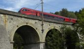 Tour Zu Fuß Gemeinde Breitenstein - Breitenstein - Klamm - Photo 6