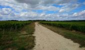 Trail Walking Rochecorbon - Rochecorbon - boucle 10 km - 2016 04 10 - Photo 1
