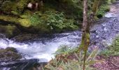 Excursión Senderismo Montperreux - source bleue lac mal buisson - Photo 4