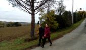 Tocht Stappen Montgey - Montgey-novembre-2021 - Photo 4