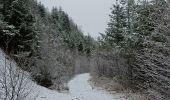 Randonnée Marche Waimes - Sur les traces de l'ultratrail 🥾 - Photo 15