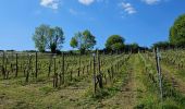 Trail Walking Dalhem - Redécouverte de Neufchâteau 🥾 - Photo 4