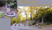 Tour Zu Fuß Freital - Freitaler Rundweg 4 - Photo 10