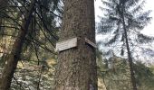 Tour Wandern Gerdsee - Roches de Bruyères et du Page, Gorges du Roitelet - Photo 18