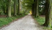 Excursión Senderismo Tervuren - Arboretum tra Nuovo e Vecchio mondo (castanea dentata) - Photo 12