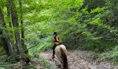 Trail Horseback riding Beaufort - Beaufort Roybon 18082021 - Photo 3
