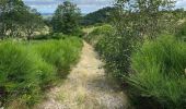 Randonnée Marche Chauchailles - Gorges du Bèz sentier des espagnols - Photo 14