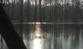 Percorso A piedi Königs Wusterhausen - Rundweg Niederlehmer Luch - Photo 7