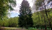 Percorso A piedi Bad Orb - Bad Orb Rundwanderweg 15 (Friedensweg) - Photo 6