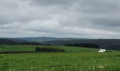 Tour Wandern Libin - rando redu  11-05-2023 - Photo 1
