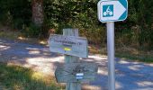 Tour Wandern Rivarennes - Rivarennes - Circuit 1 - 18.2km 225m 3h55 - 2020 07 13 - Photo 6