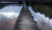 Randonnée A pied Murol - Lac Chambon - Photo 10