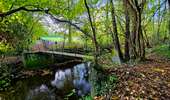 Trail Walking Honnelles - La promenade du Caillou qui Bique - Photo 14