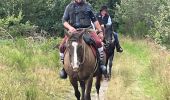 Trail Horseback riding Bastogne - Livarchamps 28 août 2021 - Photo 10