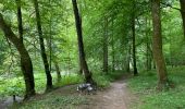 Trail Walking Chiny - Chiny le long de la Semois - Photo 1