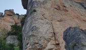 Trail Walking Saint-Pierre-des-Tripiers - Marche d'approche voie de l'arête décollée , Gorges de la Jonte - Photo 1