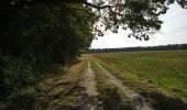 Trail Walking Lussault-sur-Loire - Lussault-sur-Loire - Grille Dorée Pagode de Chanteloup - 15.1km 160m 3h15 - 2023 10 11 - Photo 7
