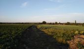 Tocht Stappen Dalhem - botchamp - la saulx- tunnel  - Photo 17