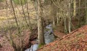 Tocht Stappen Stavelot - Francorchamps  - Photo 3