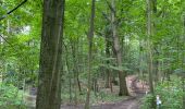 Trail Walking Leuven - Entre Louvain et Holsbeek - Photo 5