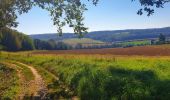 Randonnée Marche Gesves - Balade à Mozet - Photo 3