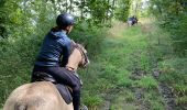 Trail Horseback riding Saint-Hubert - Chez Audrey et Laure a la chapelle de Rabas  - Photo 3