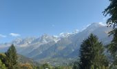 Percorso Marcia Les Houches - 20231008 Les Houches Vaudagne Charousse - Photo 1