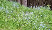 Tour Wandern Theys - PETITE BALADE A PIPAY - Photo 1