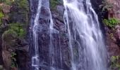 Trail Walking Le Tholy - cascades et hêtre de la vierge  - Photo 14