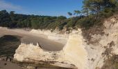 Randonnée Marche Meschers-sur-Gironde - estuaire - Photo 1