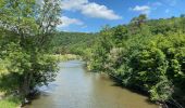 Trail Walking Houyet - Houyet - Hour - Wiesme - Mesnil-Eglise - Photo 2