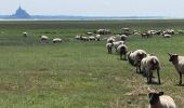 Tocht Stappen Genêts - Genêts - la pointe du groin sud - Photo 3