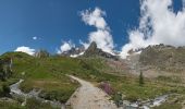 Tocht Te voet Courmayeur - Mont Fortin - Photo 4
