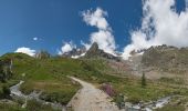 Excursión A pie Courmayeur - Mont Fortin - Photo 4