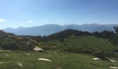 Trail Walking Font-Romeu-Odeillo-Via - Font Romeu  - Photo 1